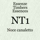 Nt_1_noce_canaletto