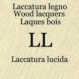 Ll_laccatura_lucida